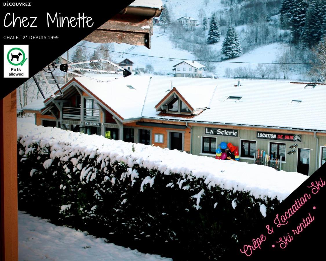 Le "Chalet De Minette" 2 Etoiles La Bresse Dış mekan fotoğraf