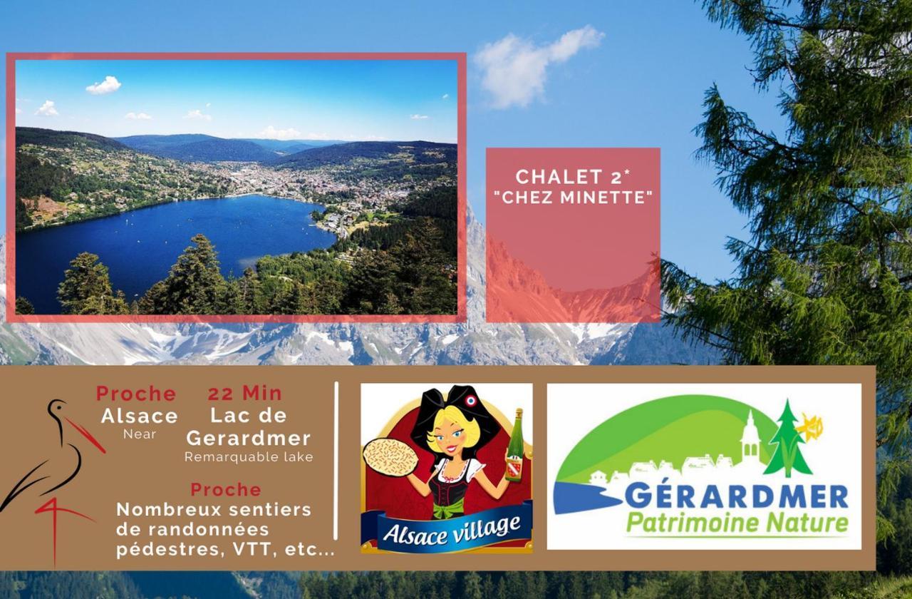 Le "Chalet De Minette" 2 Etoiles La Bresse Dış mekan fotoğraf