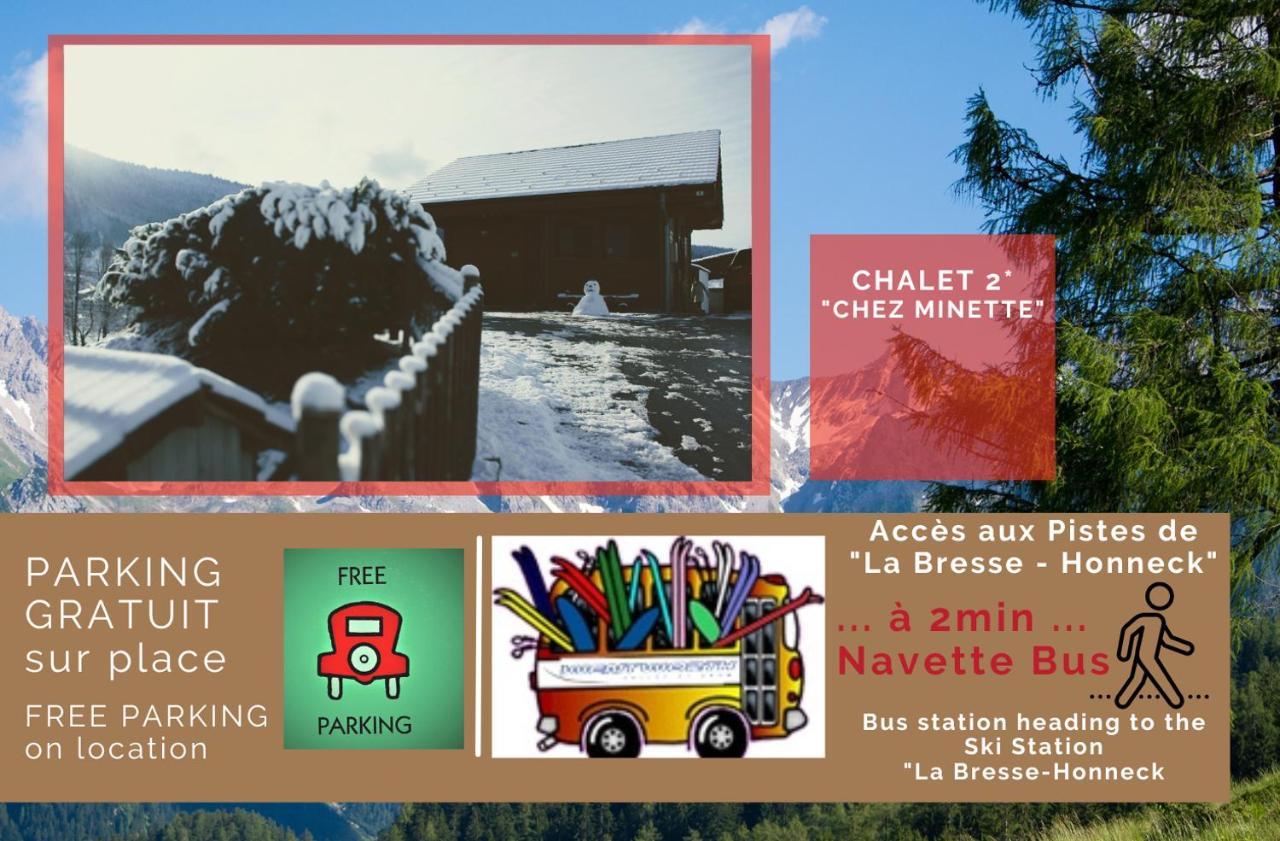 Le "Chalet De Minette" 2 Etoiles La Bresse Dış mekan fotoğraf