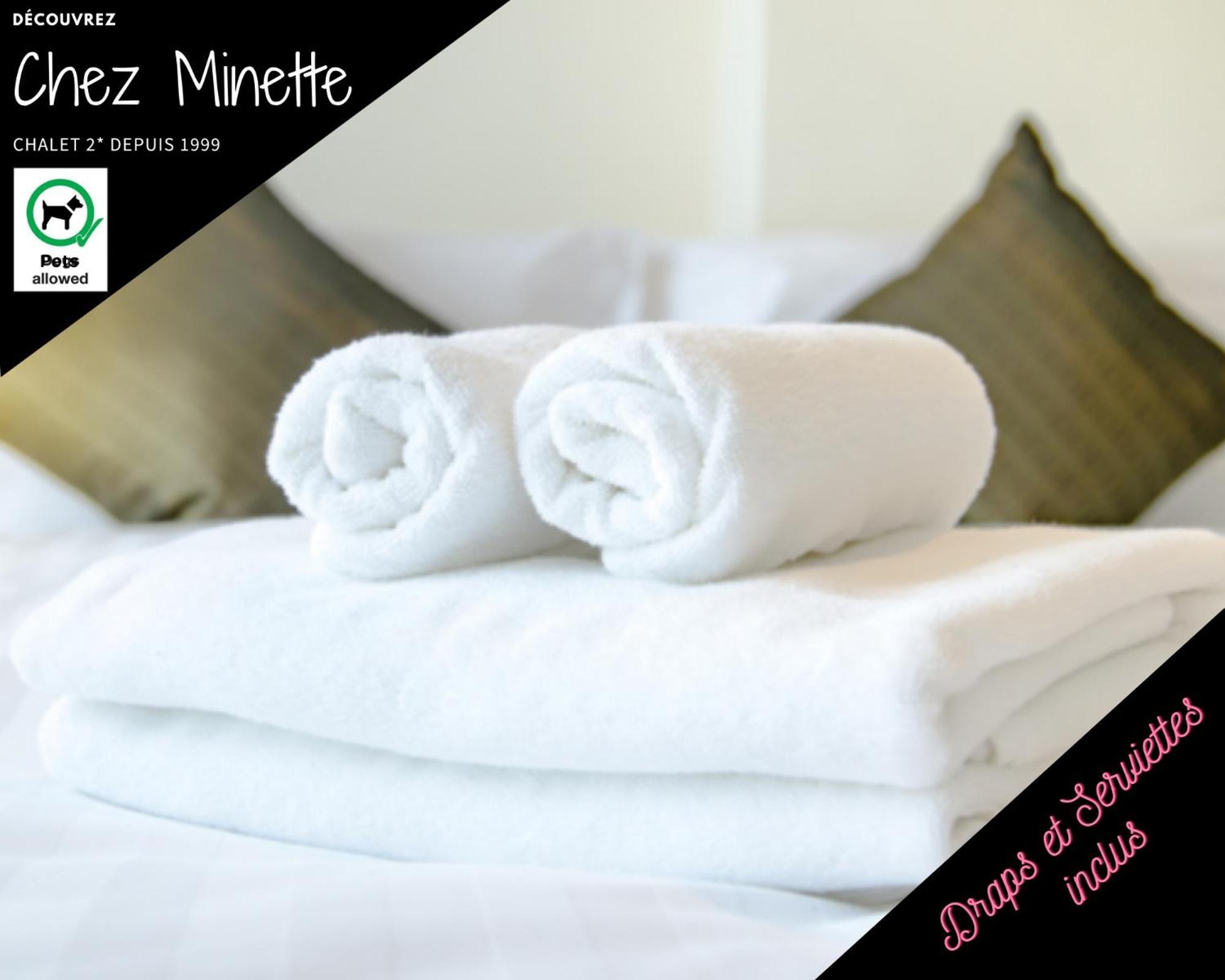 Le "Chalet De Minette" 2 Etoiles La Bresse Dış mekan fotoğraf