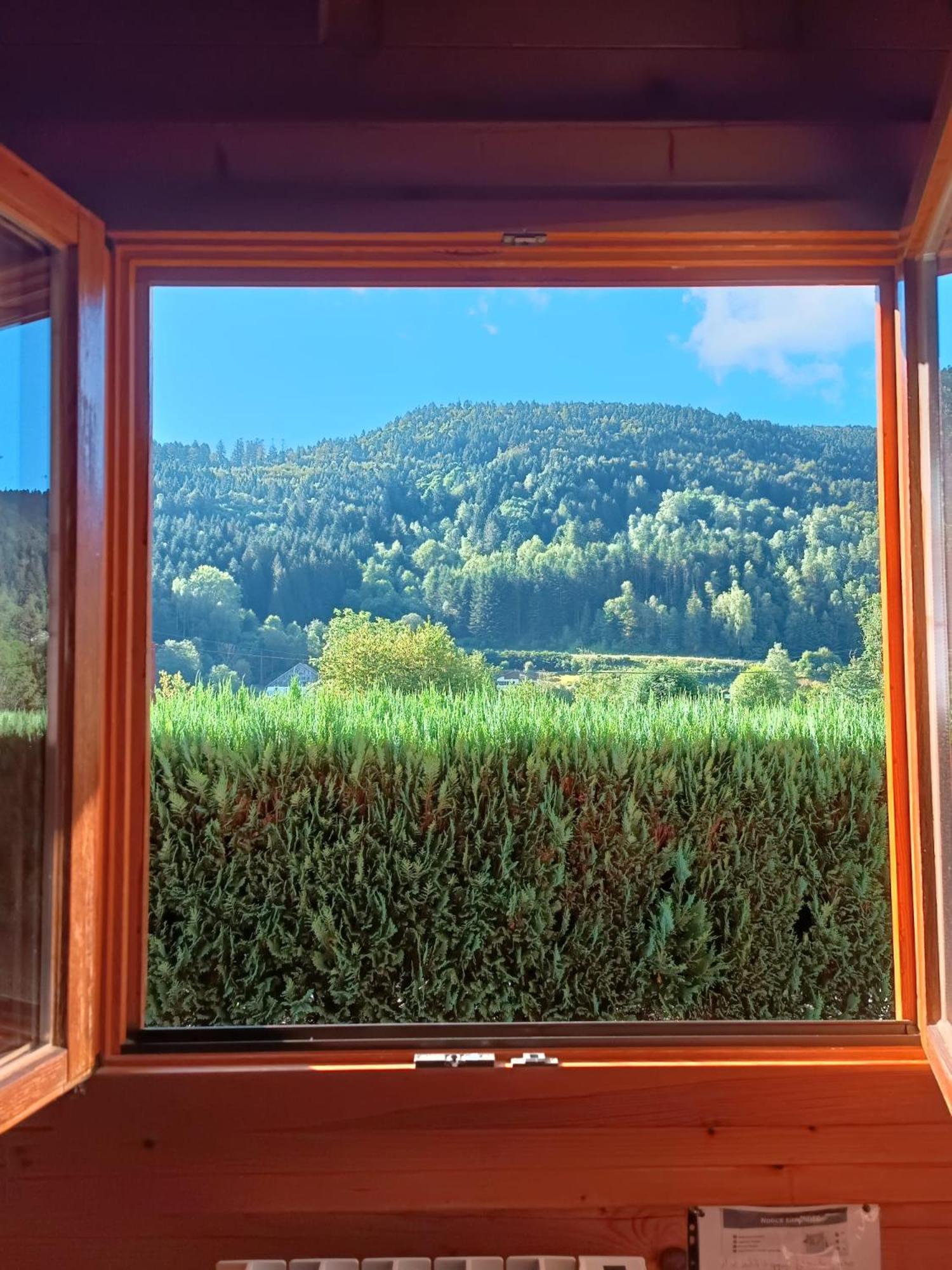 Le "Chalet De Minette" 2 Etoiles La Bresse Dış mekan fotoğraf